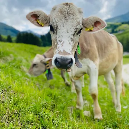 Mountain Getaway Sedrun * Rueras